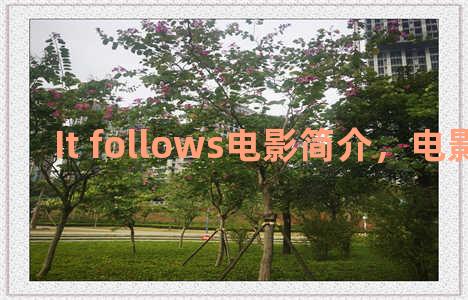 It follows电影简介，电影follow me